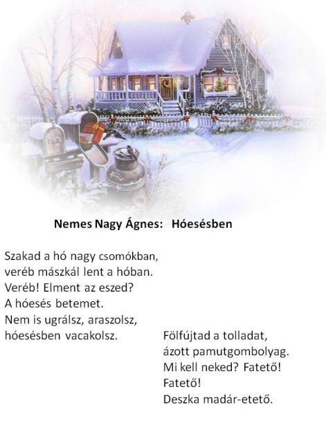 hoesesben.jpg